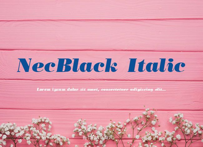 NecBlack Italic example